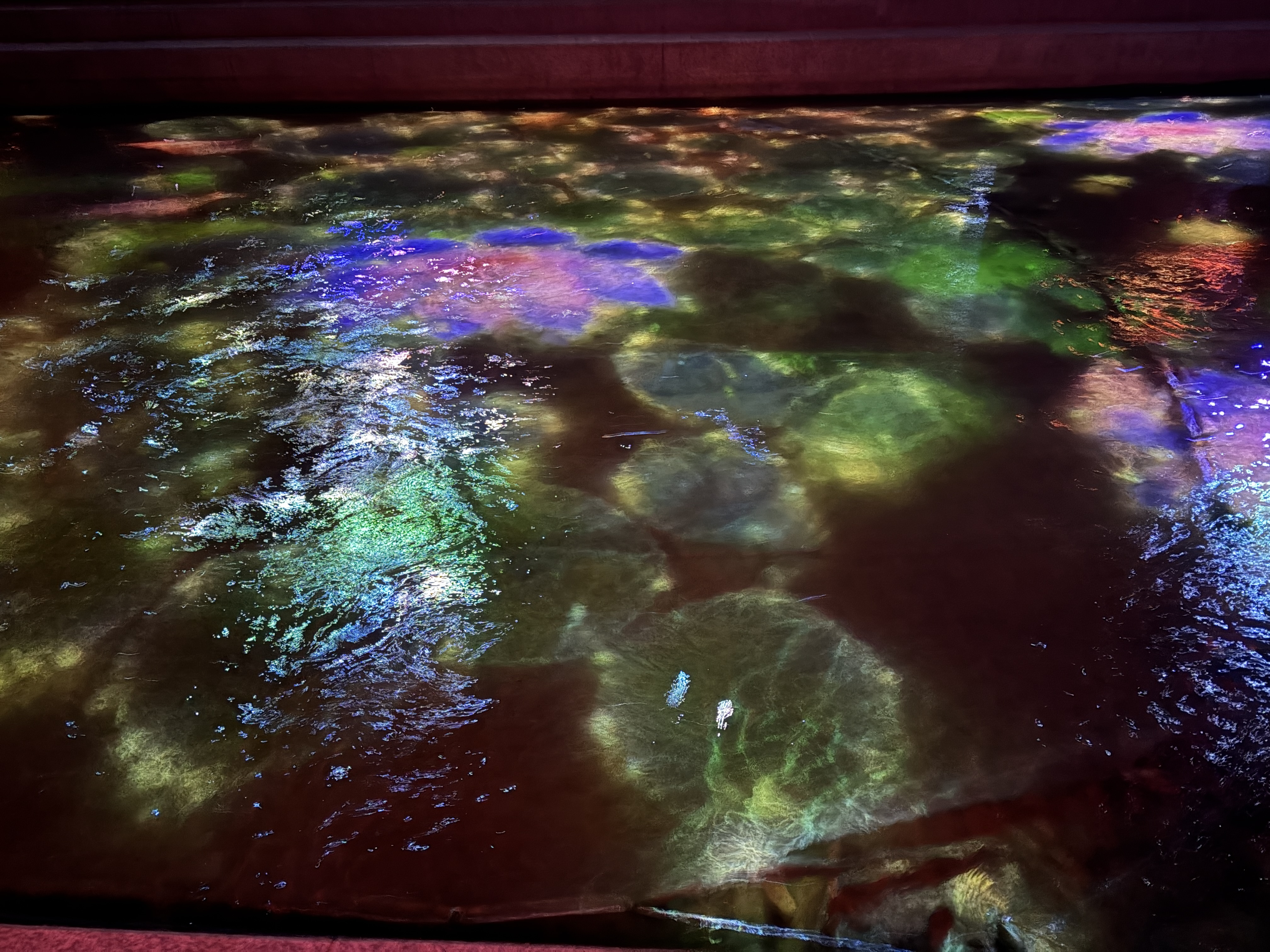 Cheonggyecheon Stream Light Show